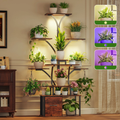 Cottinch 63" Plant Stand Indoor with Grow Lights, 10 Tiered Plant Shelf for Multiple Plants, Large Metal Plant Rack with Drawer, Tree-Shaped Flower Holder for Living Room, Balcony